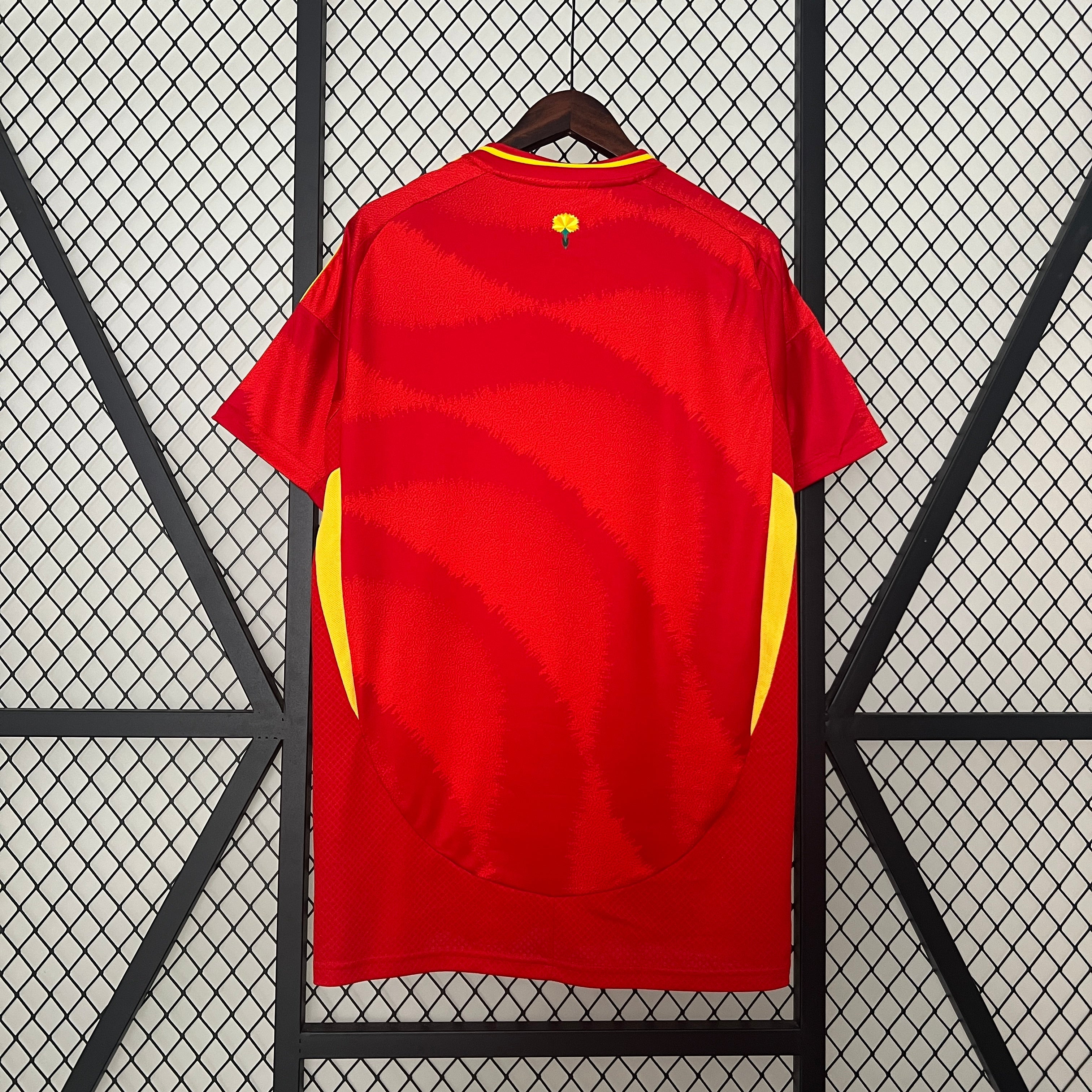 Maillot Espagne Domicile 24/25