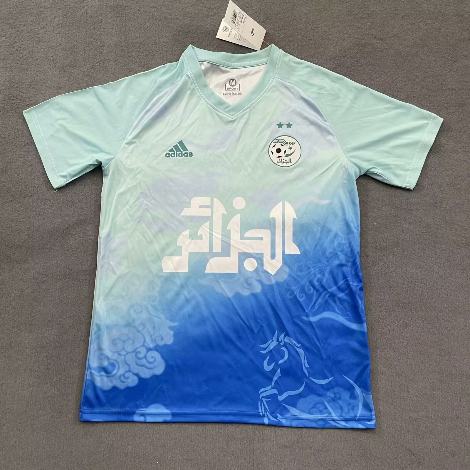 Maillot Algérie Spécial Édition ’Bleu’ 25/26